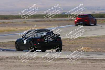 media/Oct-04-2025-OnGrid (Sat) [[44bd565ffa]]/Pink Group/Grapevine/